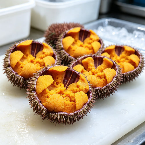 Fresh New Zealand sea urchin with orange roe (1)