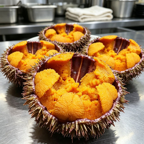 Fresh New Zealand sea urchin with orange roe (2)